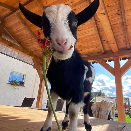 Agroturystyka Nad Lakami Villa Klodzko Bagian luar foto