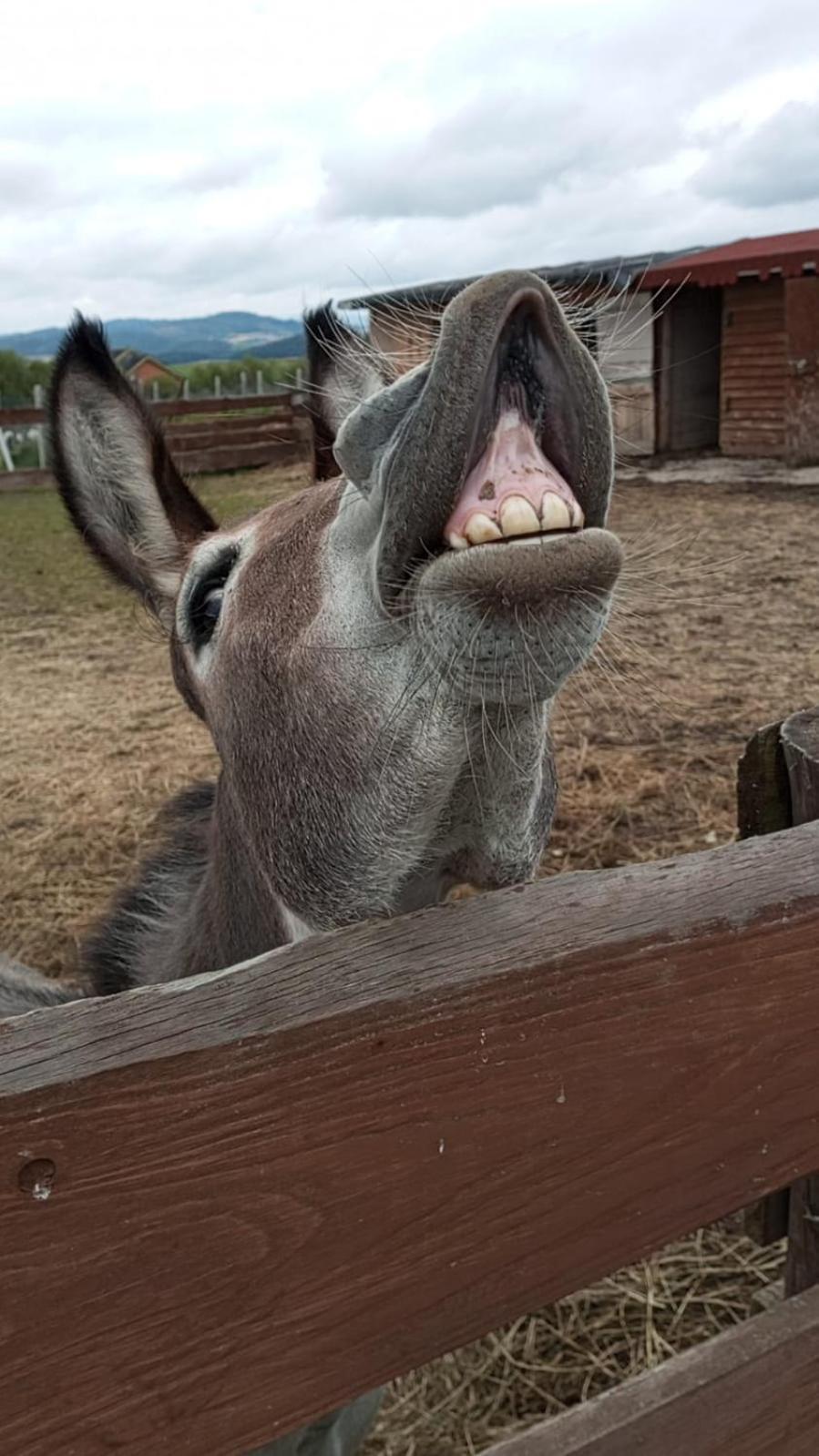 Agroturystyka Nad Lakami Villa Klodzko Bagian luar foto