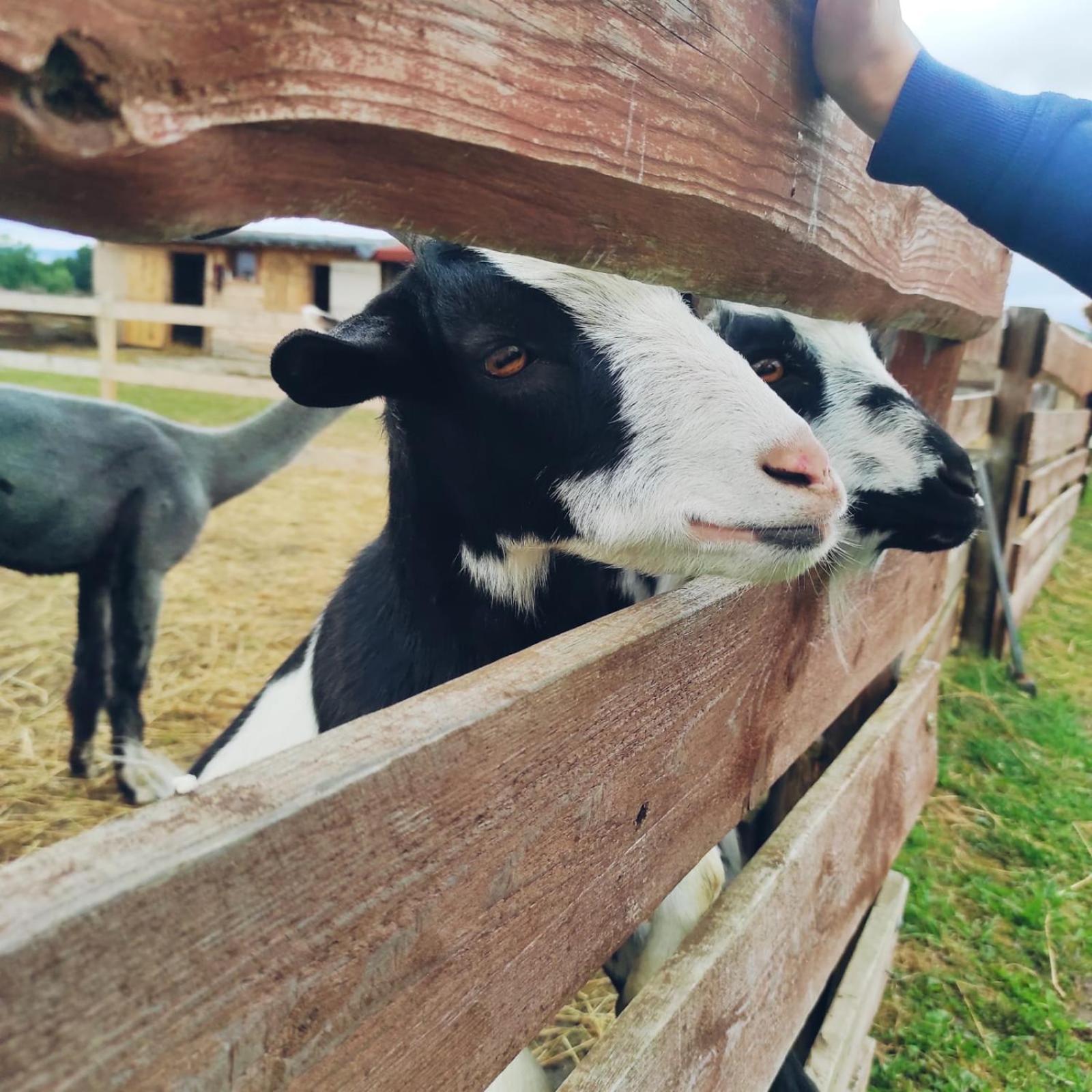 Agroturystyka Nad Lakami Villa Klodzko Bagian luar foto