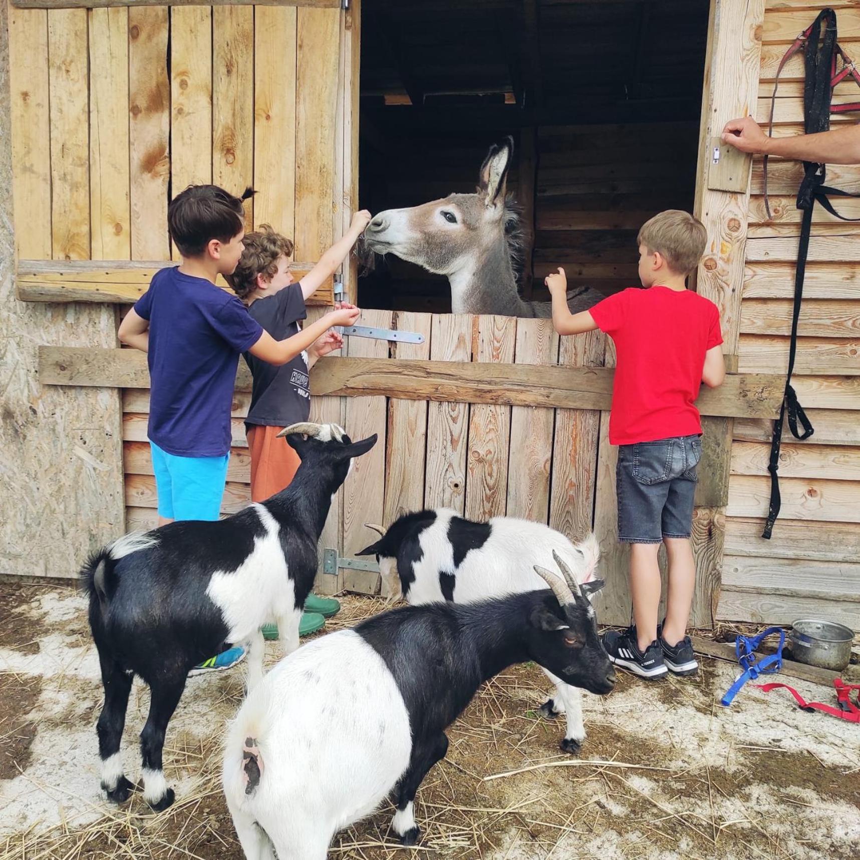 Agroturystyka Nad Lakami Villa Klodzko Bagian luar foto