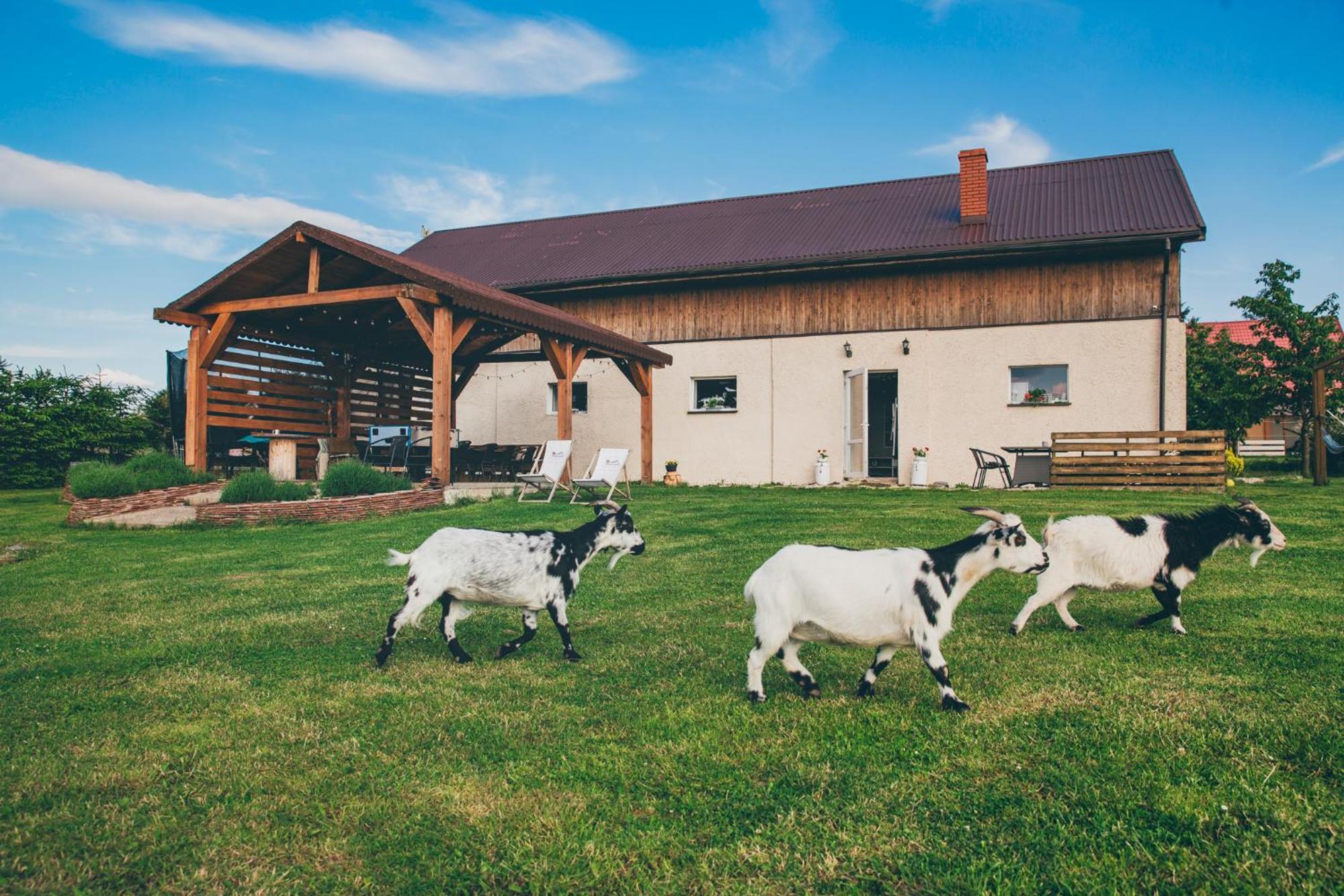 Agroturystyka Nad Lakami Villa Klodzko Bagian luar foto